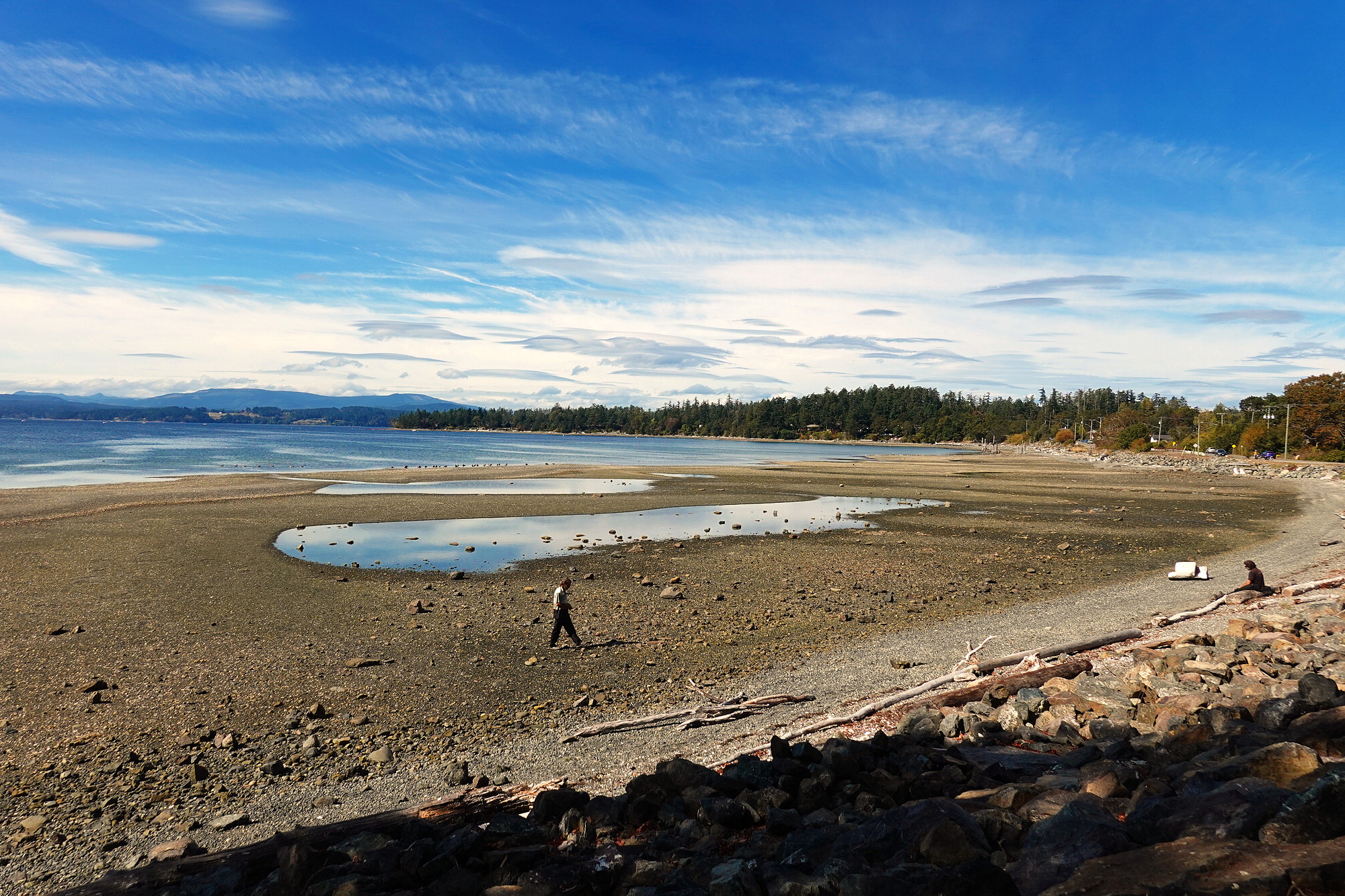 The beach at Patricia Bay