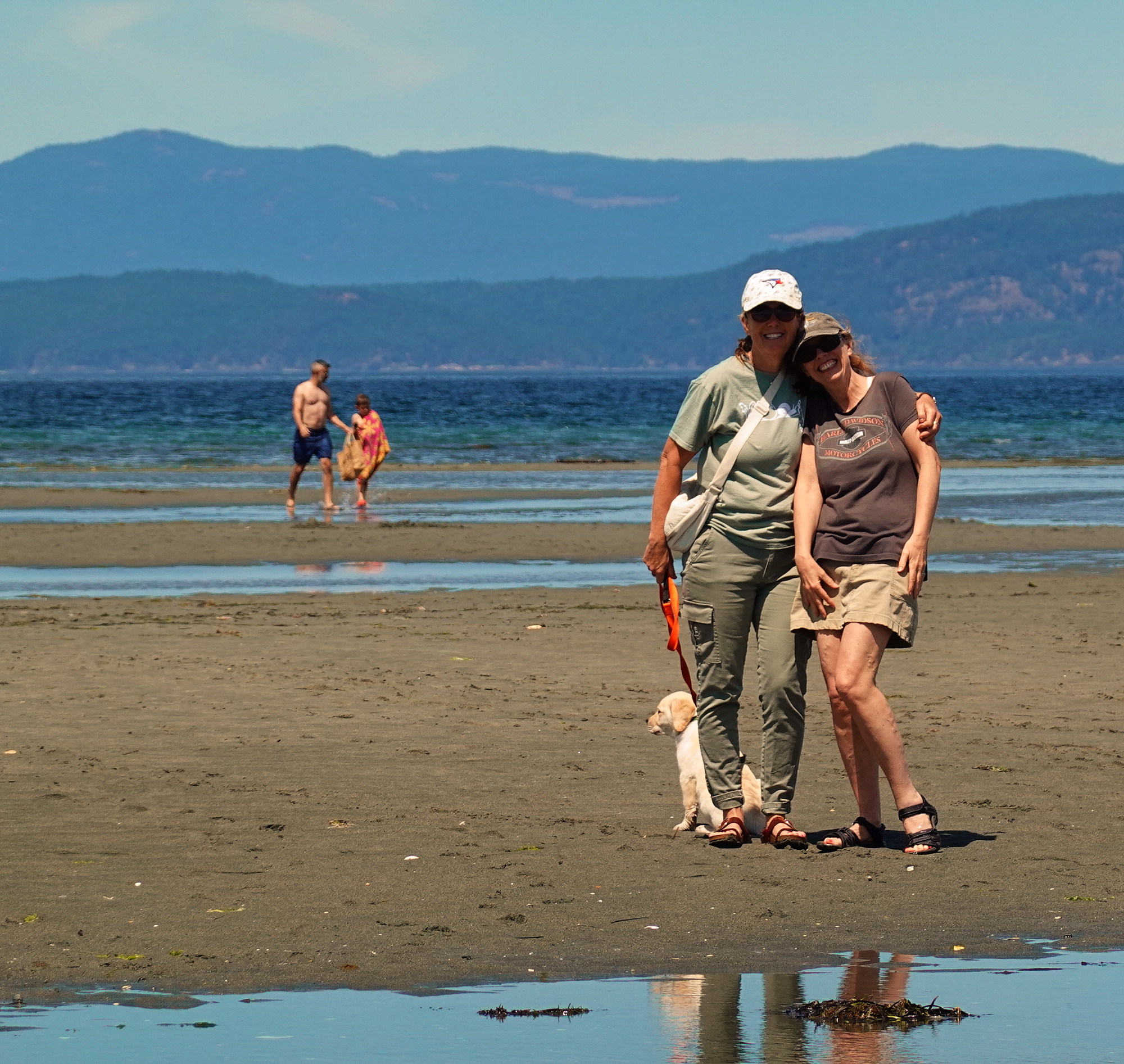 Cuteness All Around