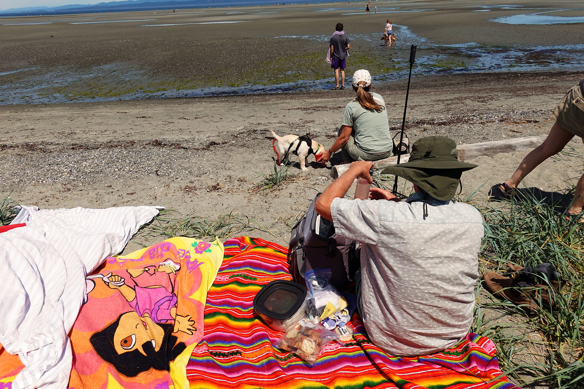 Our Beach-Picnic Camp