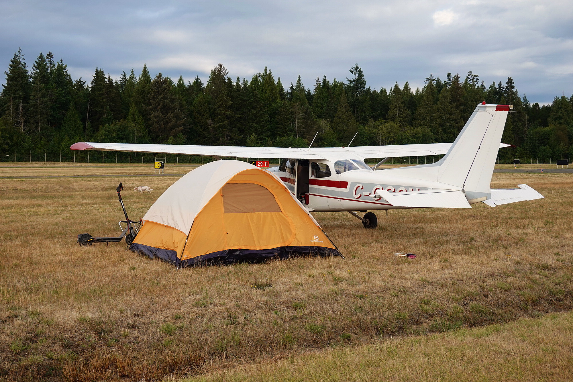 Peaceful and Quiet at the Camp Site