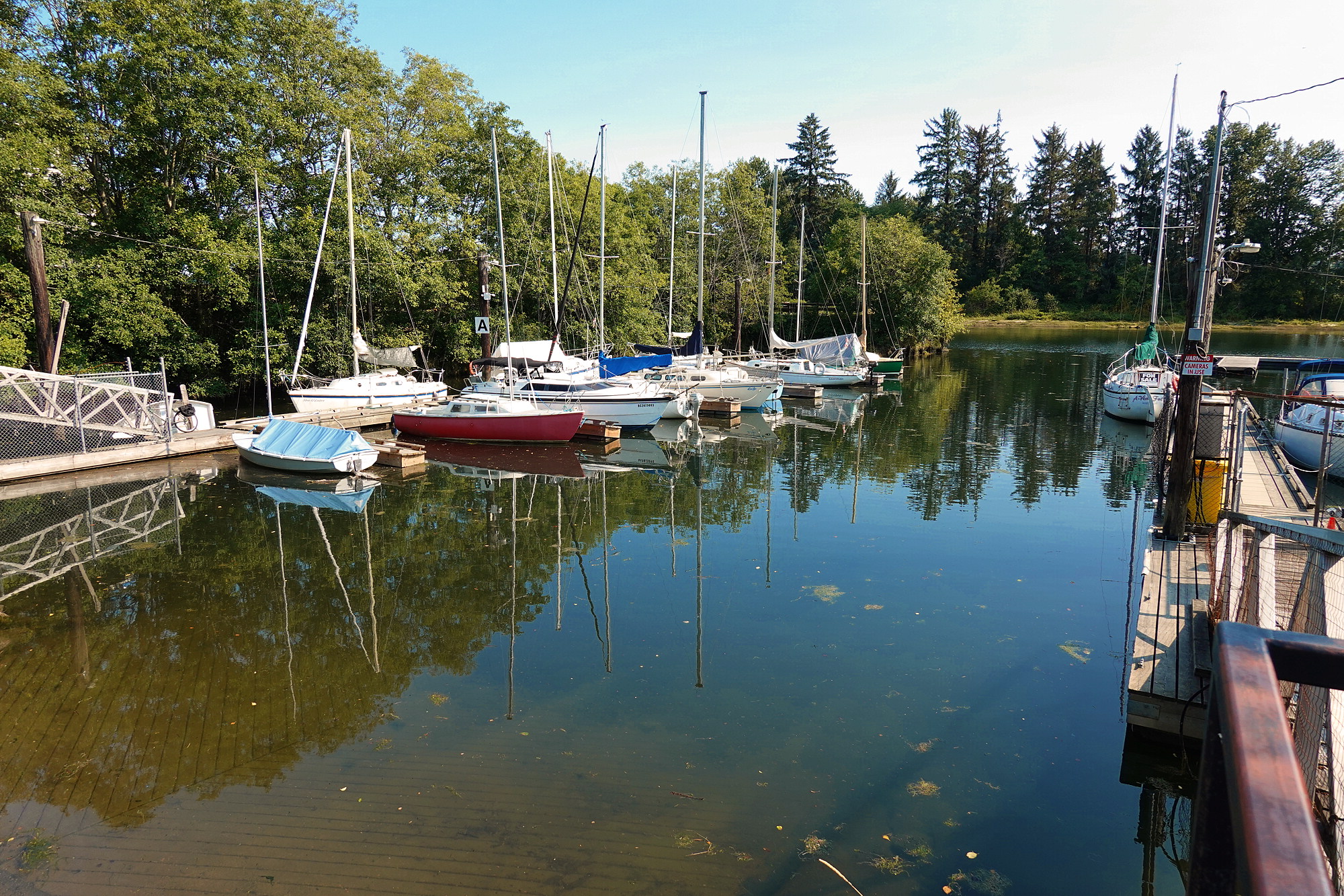 The Courtenay Harbour
